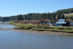 _DSC0442