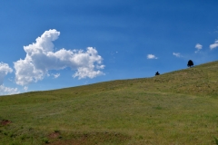 _DSC1014