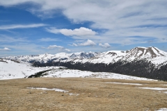 _DSC0348