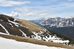 _DSC0351