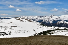 _DSC0354