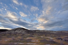 _DSC7172