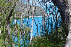 14_abel_tasman_np