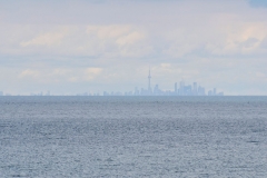 _DSC7322