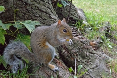 _DSC0071