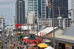 auckland_1