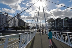 auckland_8