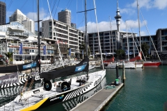 auckland_10