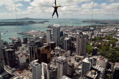 auckland_7