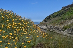 baylys_beach_2
