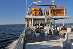 _DSC8729