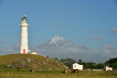 cape_egmont_05