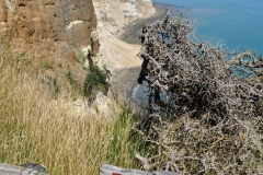 cape_kidnappers_18