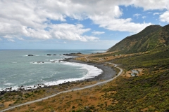 cape_palliser_01