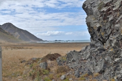cape_palliser_05