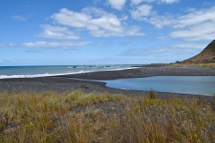 cape_palliser_06