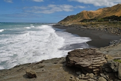 cape_palliser_07
