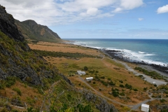cape_palliser_13