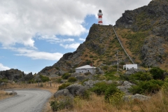 cape_palliser_16