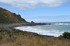 cape_palliser_17