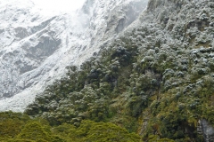cascade_creek_03
