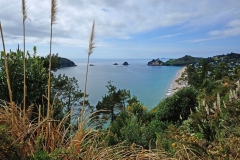 cathedral_cove_1