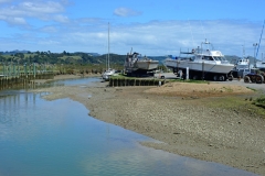 coromandel_4
