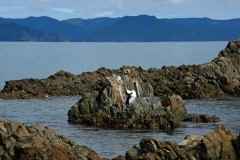 coromandel_ostküste_6