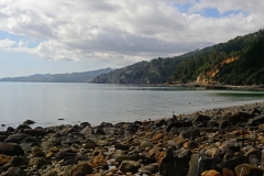 coromandel_westküste_1