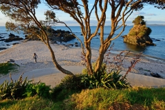 coromandel_westküste_3