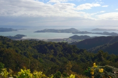 coromandel_westküste_4