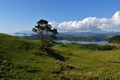 coromandel_westküste_1