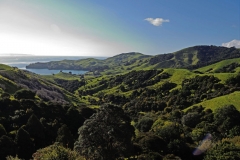 coromandel_westküste_2