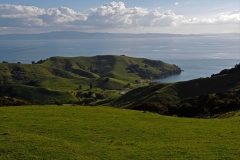 coromandel_westküste_4