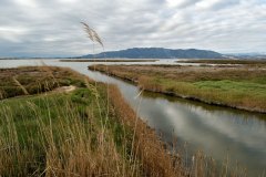 Delta-de-IEbre_03
