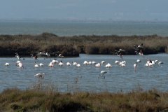 Delta-de-IEbre_12