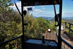 driving_creek_railway_3