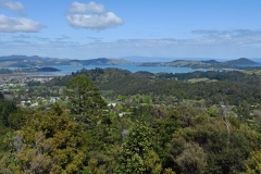 driving_creek_railway_4