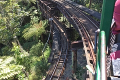 driving_creek_railway_6