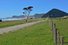 east_cape_1