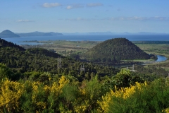 fahrt_zum_tongariro_1