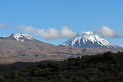 fahrt_zum_tongariro_2
