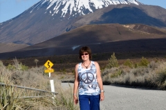 fahrt_zum_tongariro_3