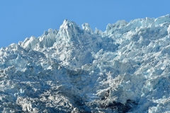 franz_josef_glacier_04