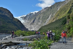 franz_josef_glacier_08