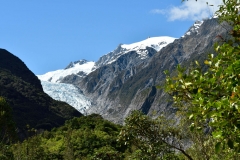 franz_josef_glacier_11