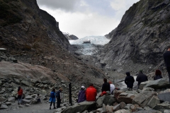 franz_josef_glacier_15