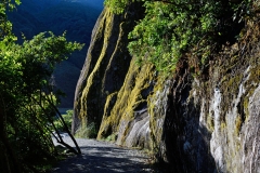 franz_josef_glacier_19
