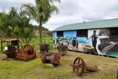 lokales_kauri_museum_1