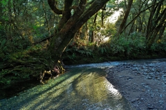 pleasant_flat_doc_06